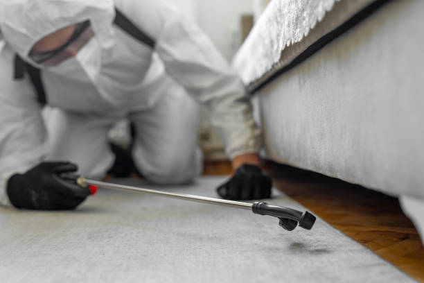 Professional Pest Control technician working in Brookside, NJ