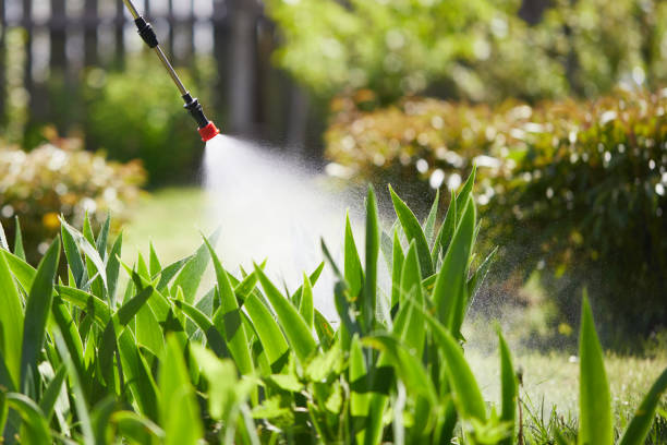 24/7 Emergency Pest Control experts in Brookside, NJ